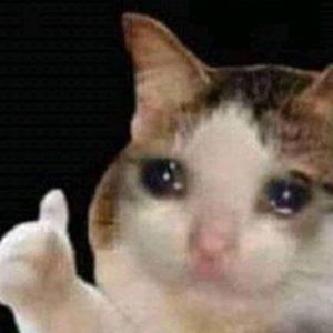 Meet your Posher, Lillian